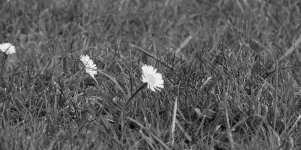 photo_four
